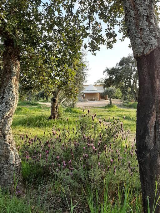 Quinta Terramadome: Dome Incomum & Responsavel Villa Penamacor Bagian luar foto