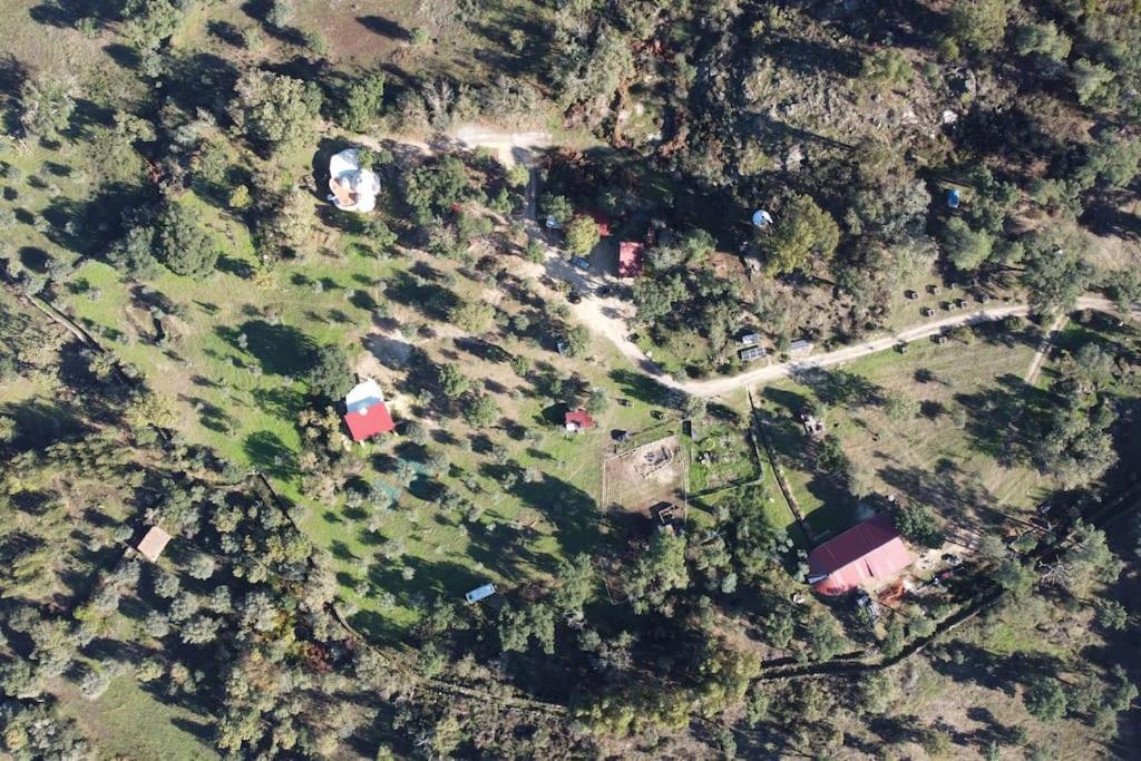Quinta Terramadome: Dome Incomum & Responsavel Villa Penamacor Bagian luar foto