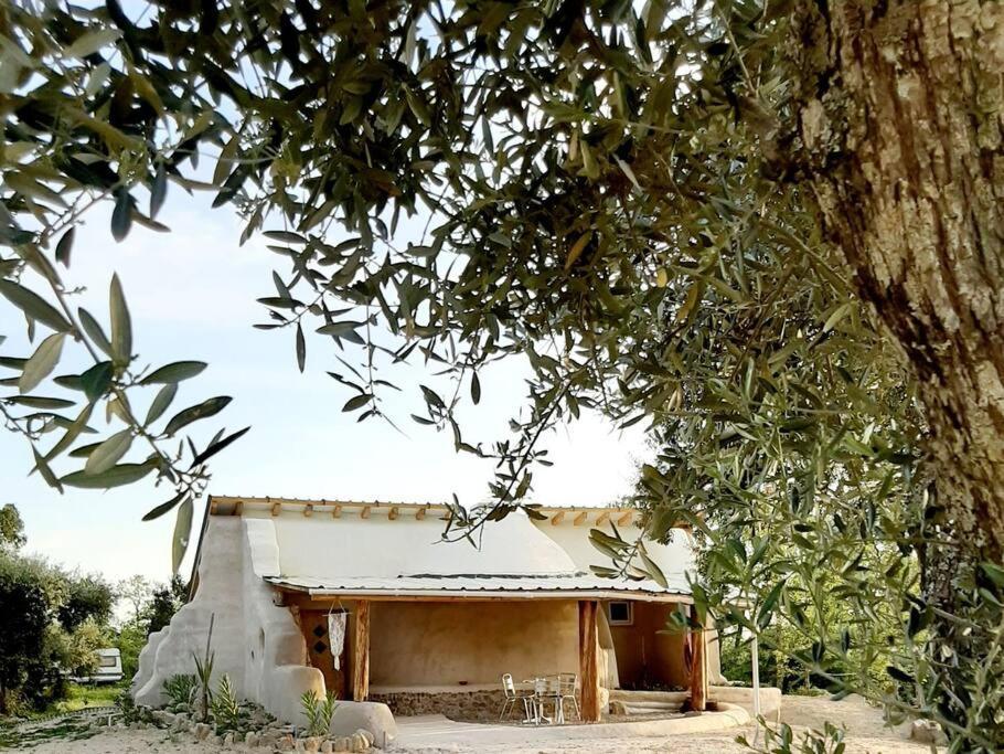 Quinta Terramadome: Dome Incomum & Responsavel Villa Penamacor Bagian luar foto
