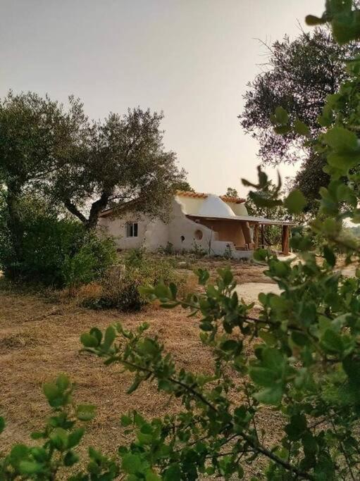 Quinta Terramadome: Dome Incomum & Responsavel Villa Penamacor Bagian luar foto
